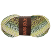 Bolero Color