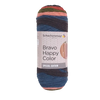 Bravo Happy Color